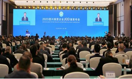 实力彰显 潜力无限——008PG国际集团持续多年荣膺四川省民营企业100强（第34位）